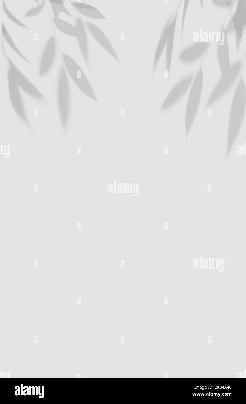 Creative layout with tropical leaves shadow on gray color background Stock Photo