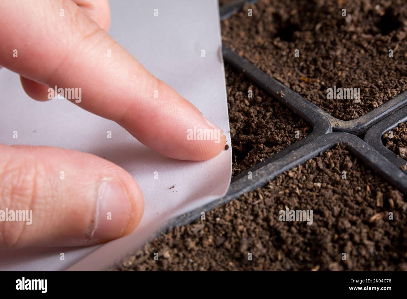 garden box planters 18
