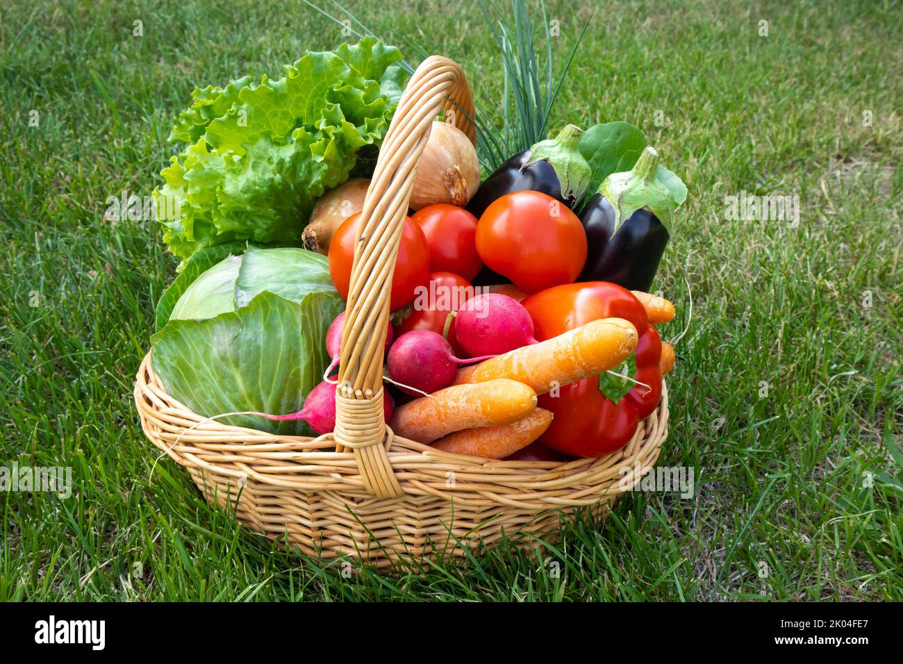 A basket of fresh, organic vegetables stands on the grass in the garden ...