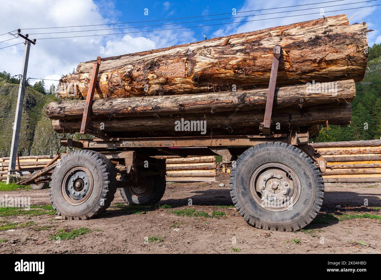 Truck trailer full of thick cedar logs stands on a roadside. Side view Stock Photo