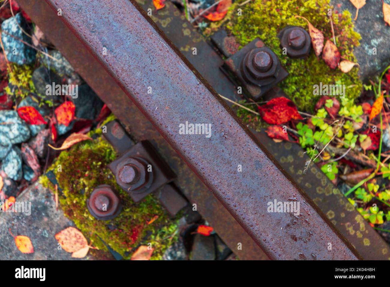 Old rusty railway track details in the autumn day, top view. Rail, sleeper, bolts and colorful autumn leaves Stock Photo