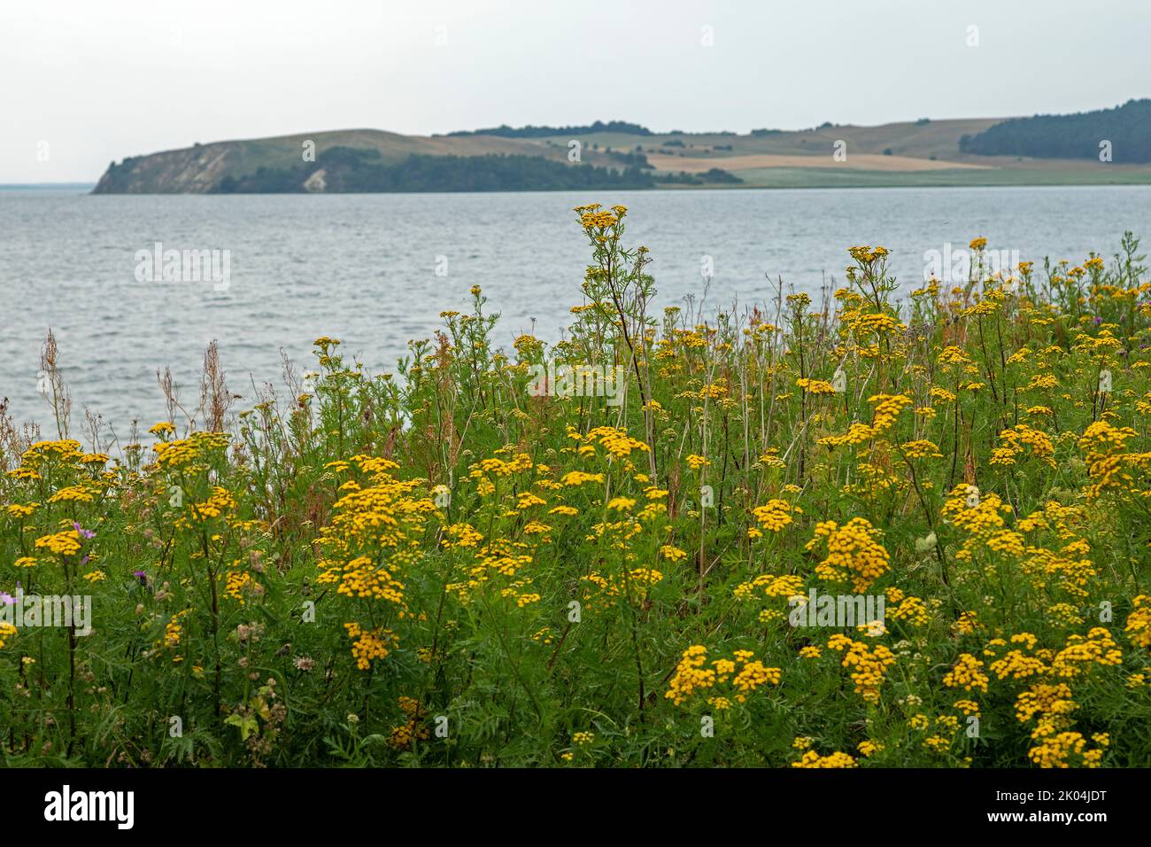 coast near Klein Zicker, Mönchgut, Rügen Island, Mecklenburg-West Pomerania, Germany Stock Photo