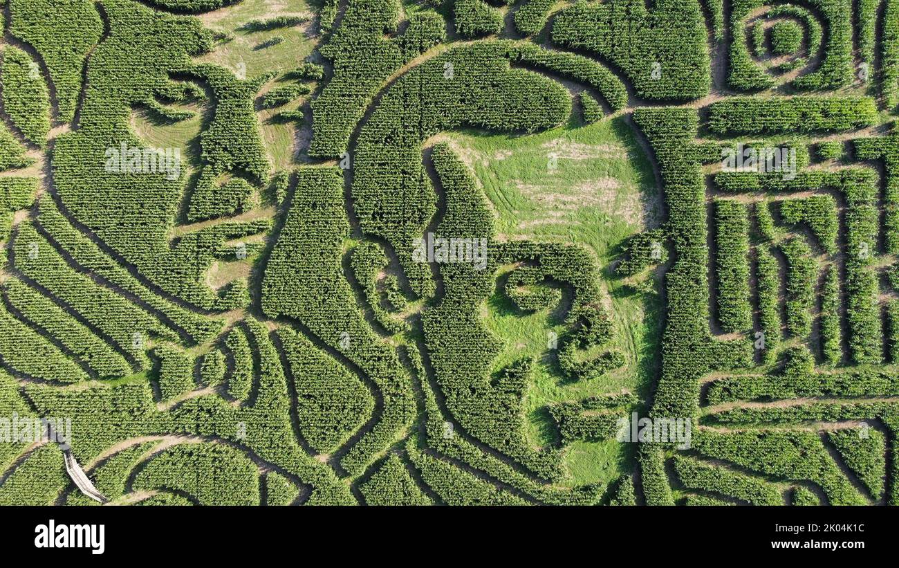 Worlds largest maze hires stock photography and images Alamy