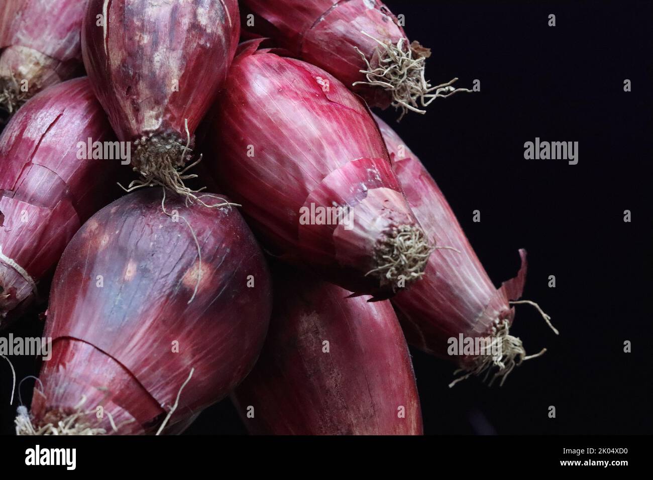 Braid of Red Onion hanging in the showcase of the oriental market store in Heidelberg, Bavaria