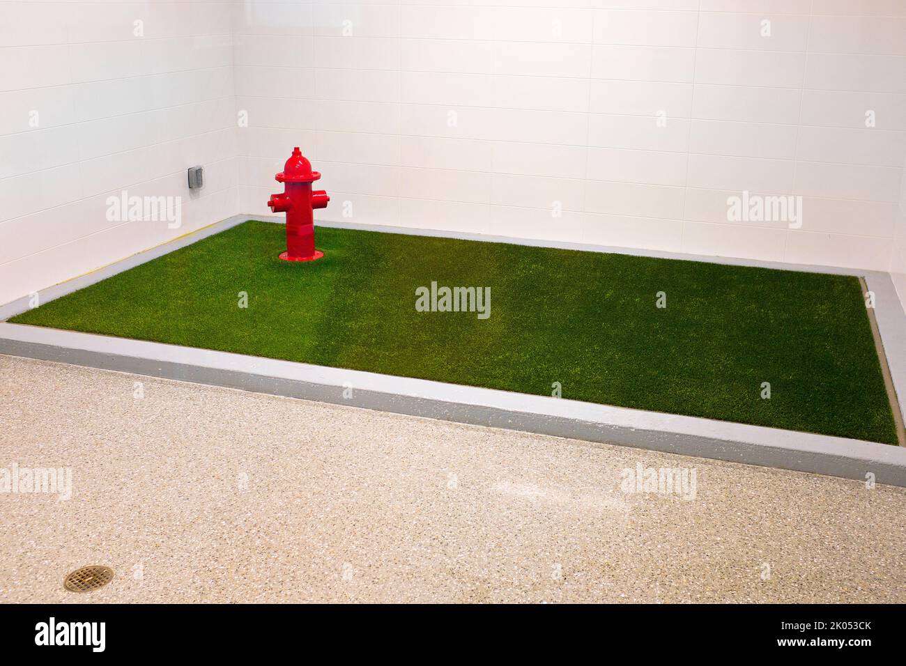 Designated Public Pet Relief Area with Artificial Grass and Fire Hydrant, Logan International Airport, Boston, Massachusetts, USA Stock Photo