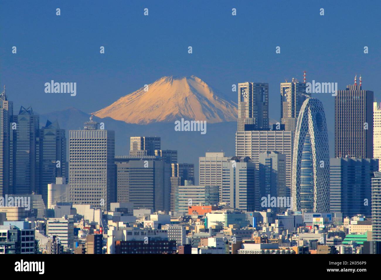 Mt Fuji and Shinjuku skyscrapers Tokyo Japan Stock Photo