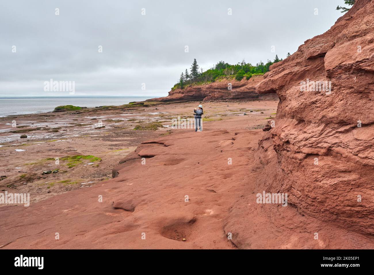 Tourist taking photographs of the landscape from the ocean floor at low tide on the Bay of Fundy in Nova Scotia.  Burntcoat Head where this photograph Stock Photo