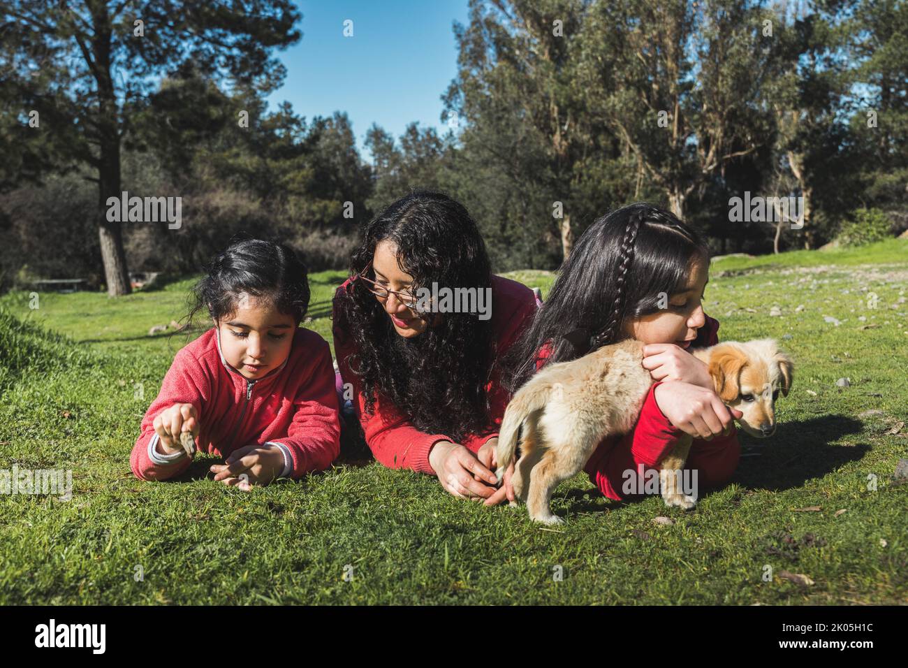 Mother with her two daughters, playing with a golden retriever puppy in the park. Female family Stock Photo
