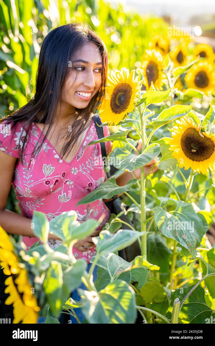 Fall Celebration Portrait of a Young Indian Woman Standing in a Field ...