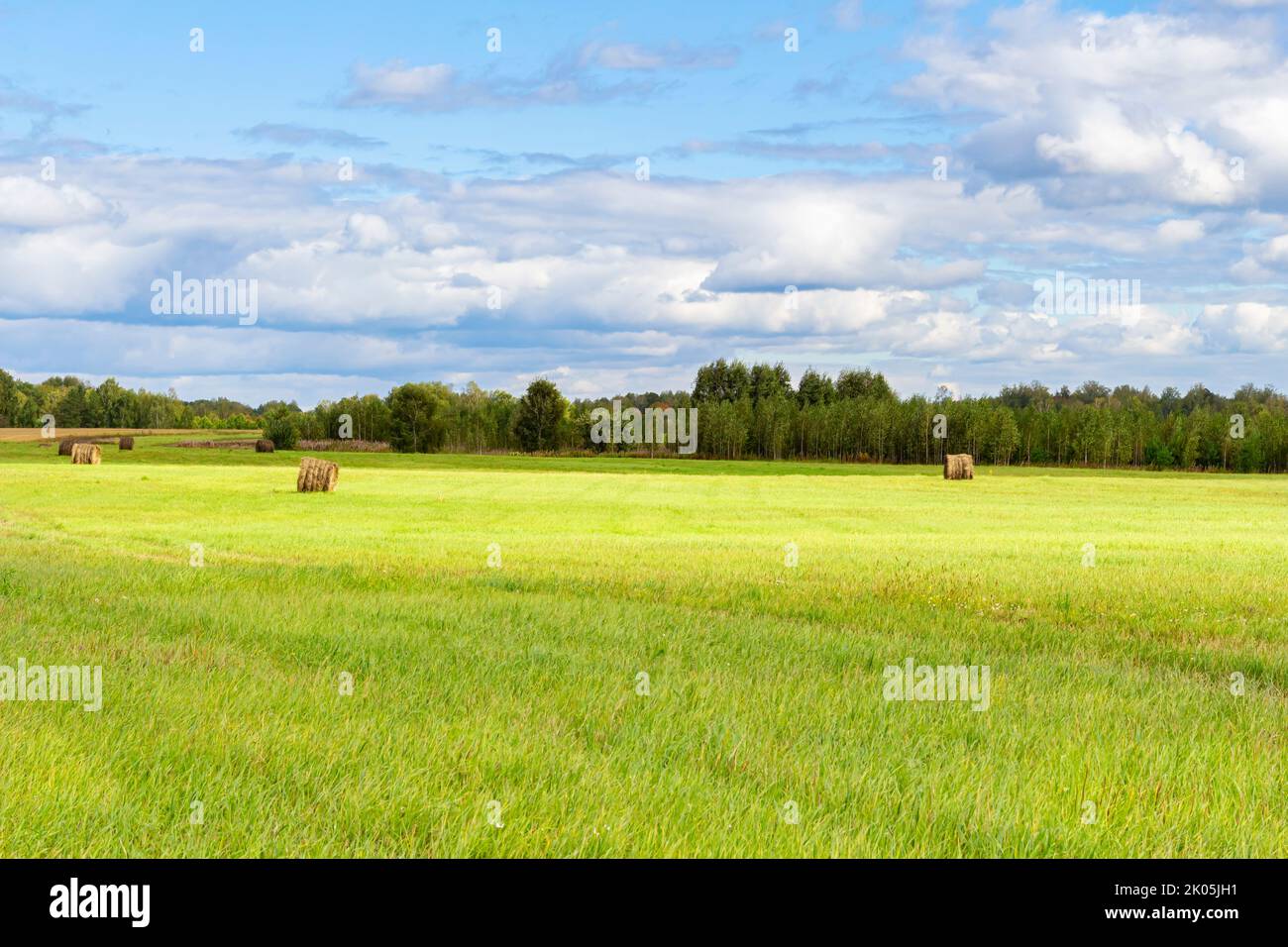 Scene with haystacks on field in autumn sunny day. Rural landscape with ...