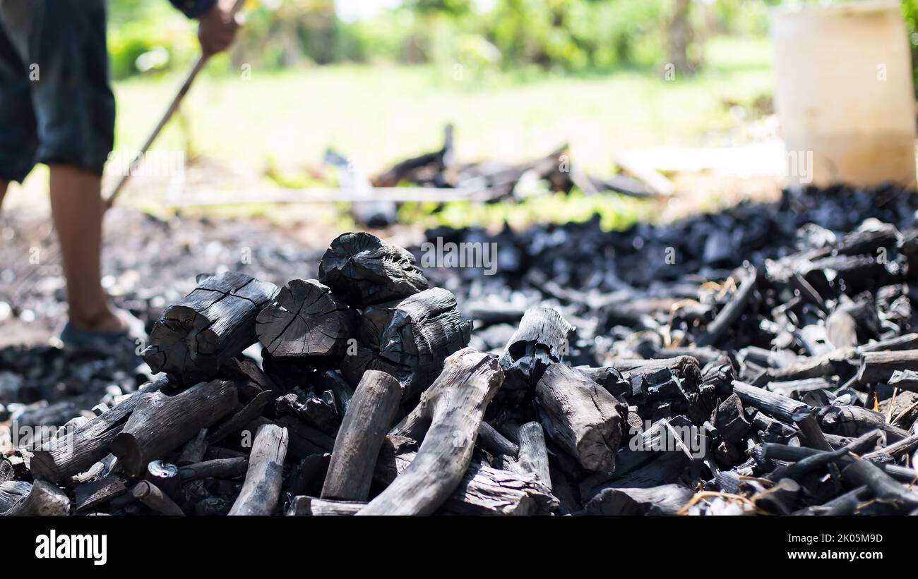 natural charcoal hardwood charcoal on a white background Stock Photo