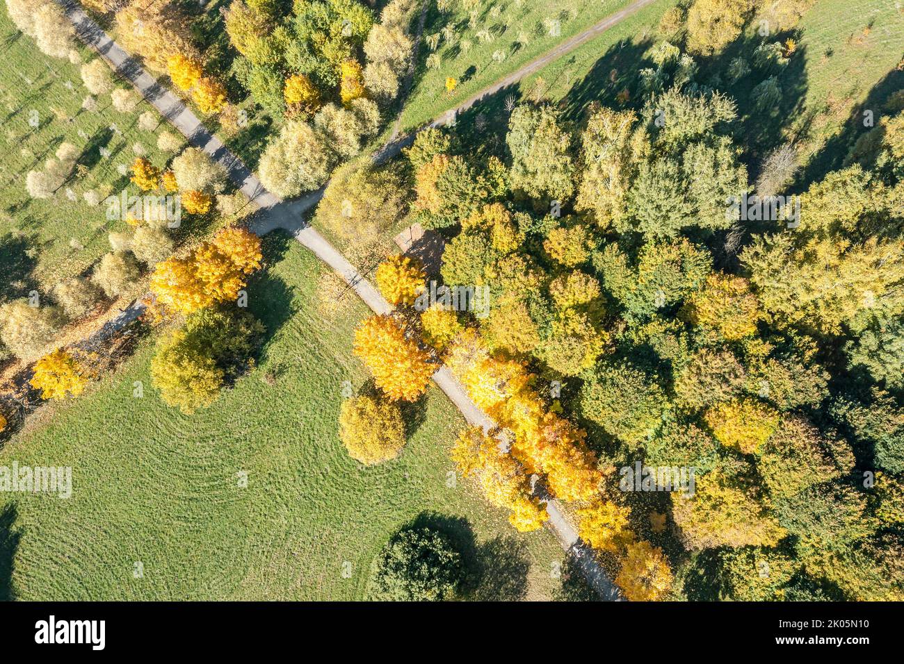 autumn park landscape with colorful trees and footpaths. aerial top view from flying drone. Stock Photo