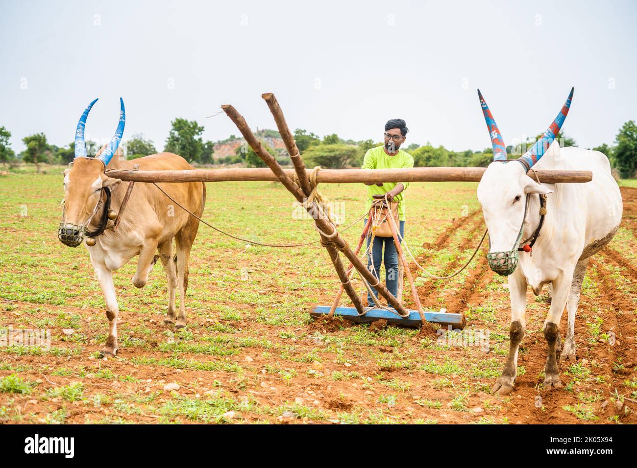 modern Indian young man trying ploughing or traditional farming at agricultural field during vacation - concept of agriculture, leisure weekend Stock Photo