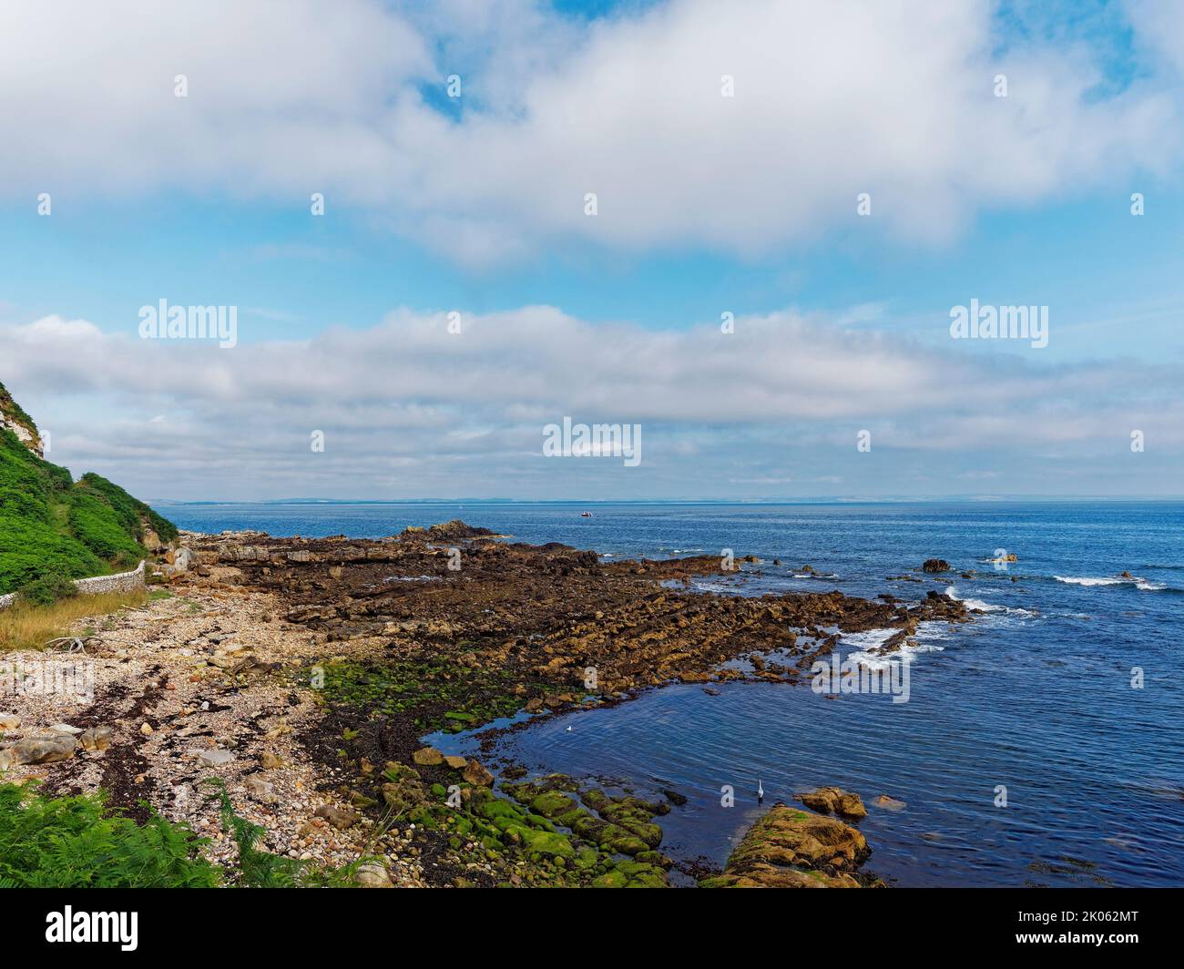 Looking North from Buddo Ness along the Fife Coastal Path on the East Coast of Scotland on a calm Summers morning. Stock Photo