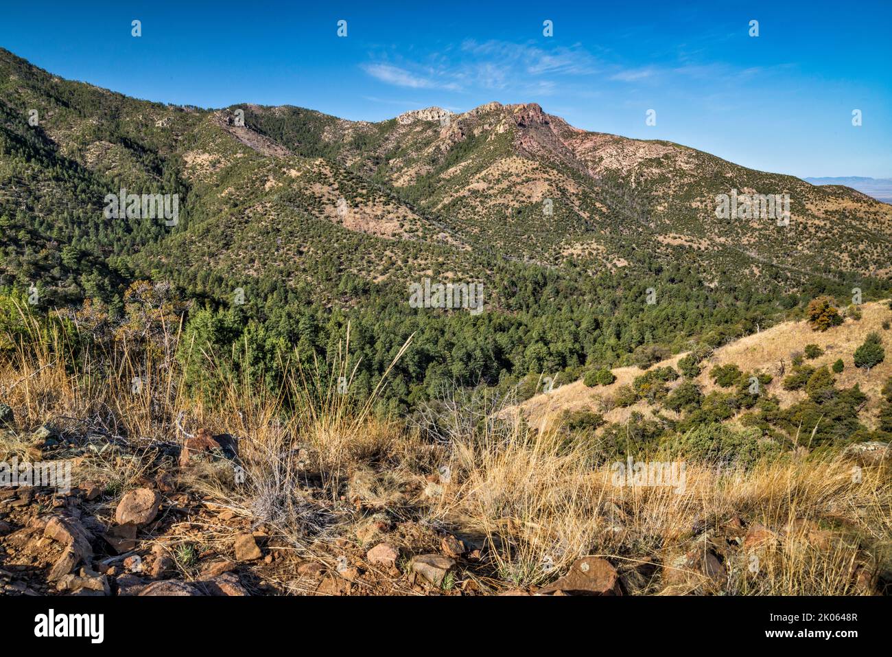View across Mormon Canyon, Johnson Peak on right, from Mormon Ridge Trail, Chiricahua Mountains, Coronado National Forest, Arizona, USA Stock Photo
