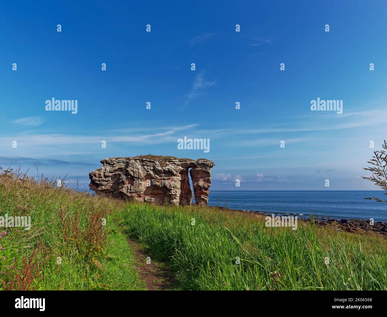 The Path or Trail leading down the Fife Coastal Path towards Buddo Rock, a Sandstone Arch located on a Raised Beach at Buddo Ness. Stock Photo