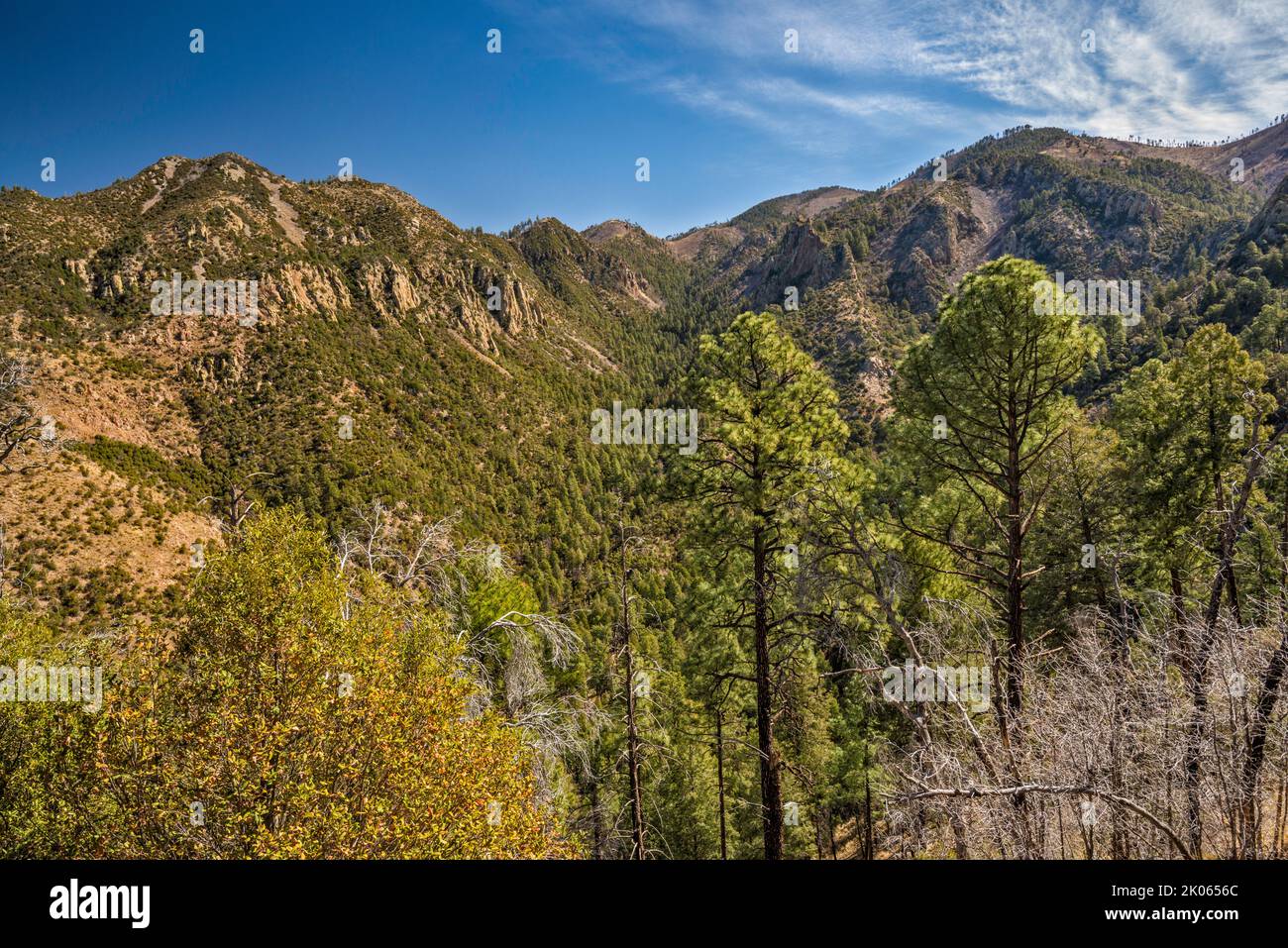 Unnamed peaks over North Ward Canyon, Little Baldy Mtn in dist, view from Mormon Ridge Trail, Chiricahua Mountains, Coronado Natl Forest, Arizona, USA Stock Photo