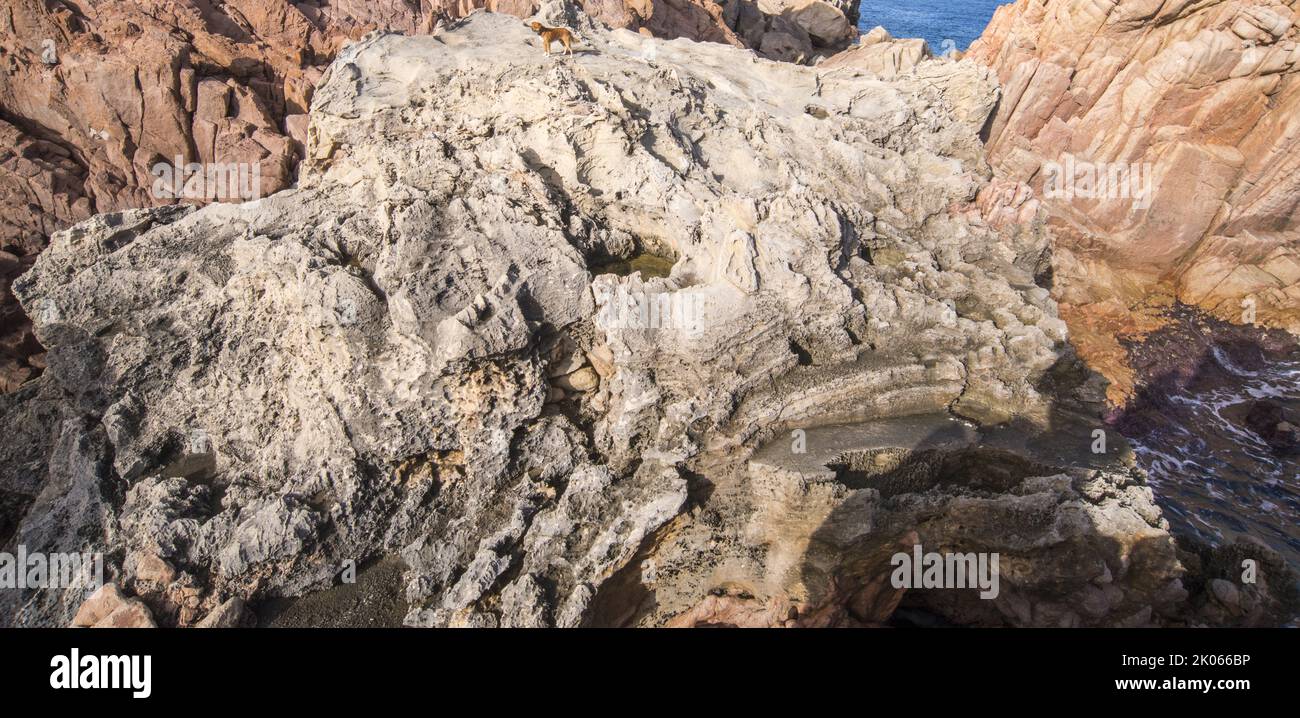 Spiaggia fossile a Caprera Stock Photo