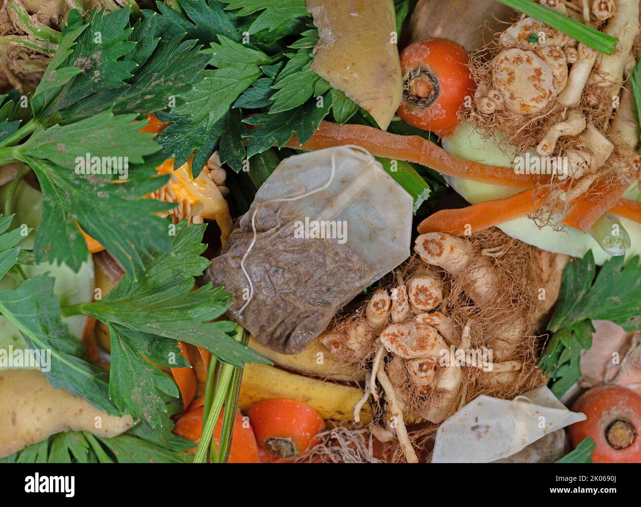 Organic waste, kitchen waste for composting Stock Photo Alamy
