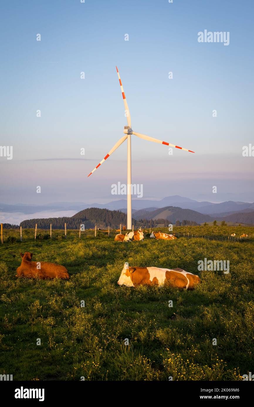 Windmill on a mountain in the morning Stock Photo