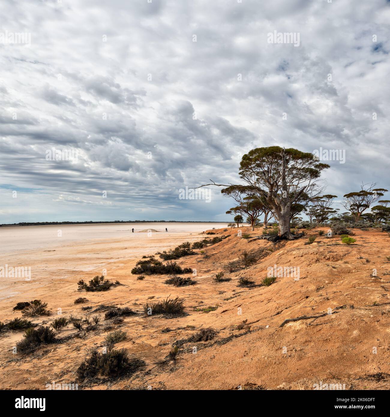 Photographers on saltlake, Lake Johnson, Western Australia Stock Photo