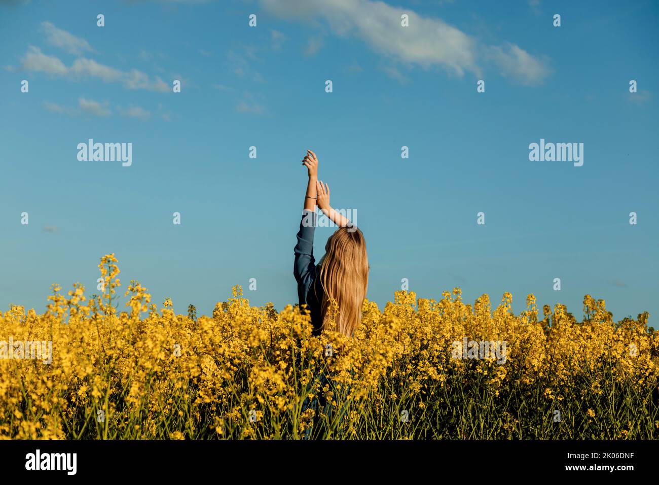 A girl in a rapeseed field stands with her back at sunset Stock Photo ...