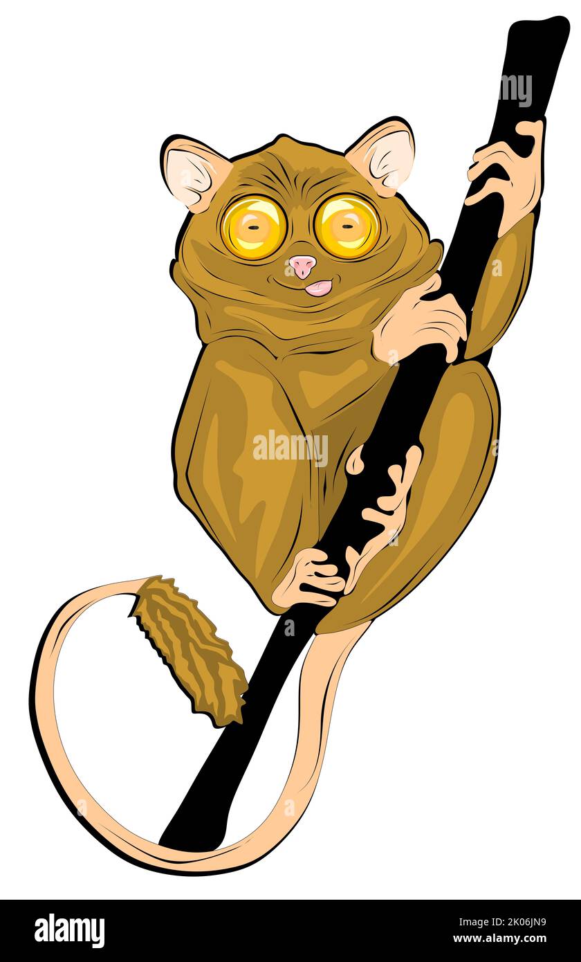 Cartoon tarsier Cut Out Stock Images &amp; Pictures - Alamy