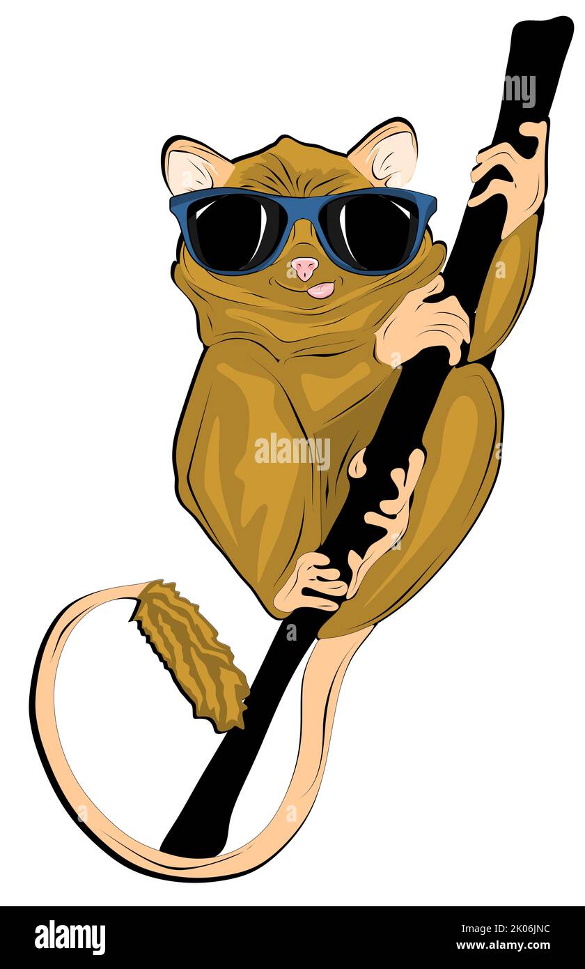 monkey with black sunglasses Stock Photo