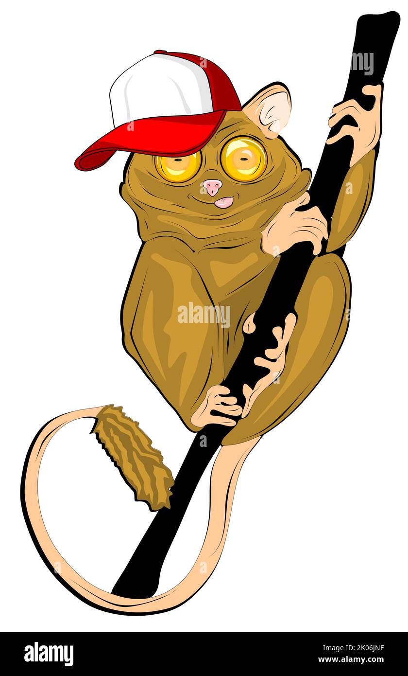 monkey with cool cap Stock Photo