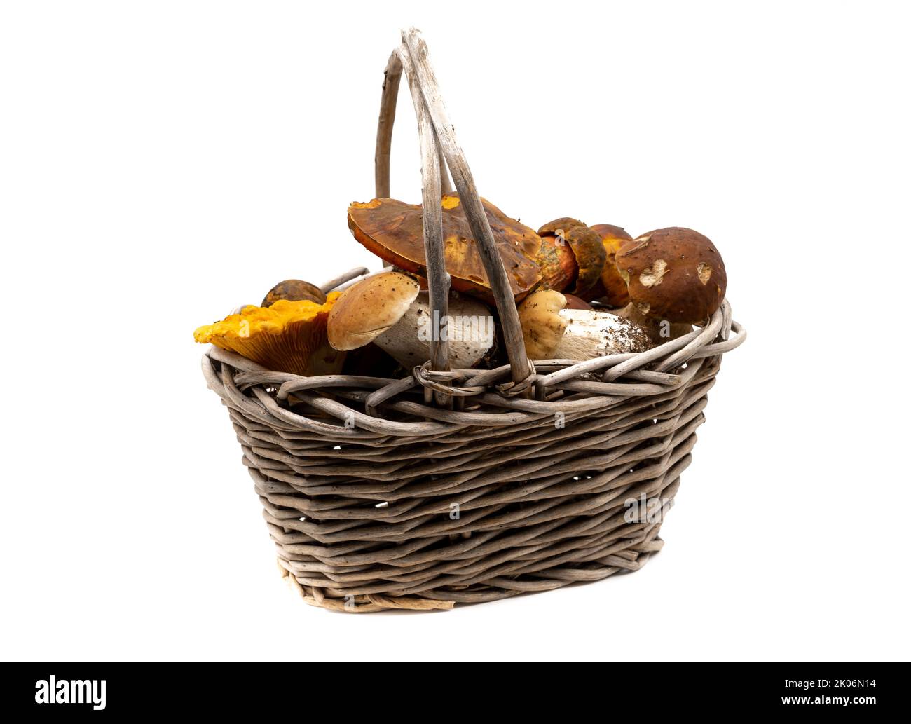 Basket of fresh edible mushrooms isolated Stock Photo