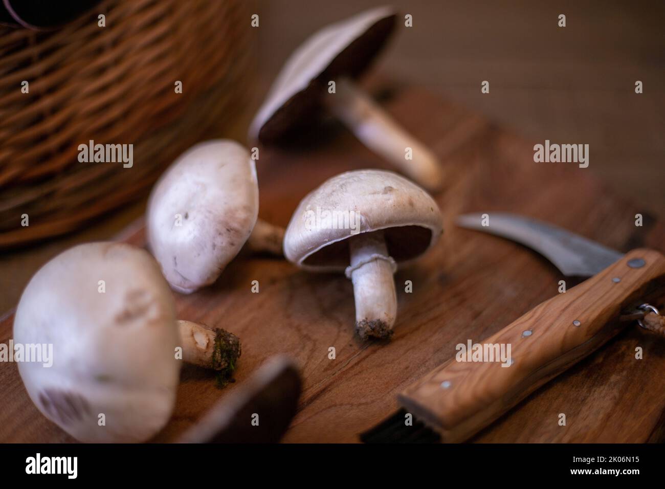 Field mushroom on a wooden board Stock Photo