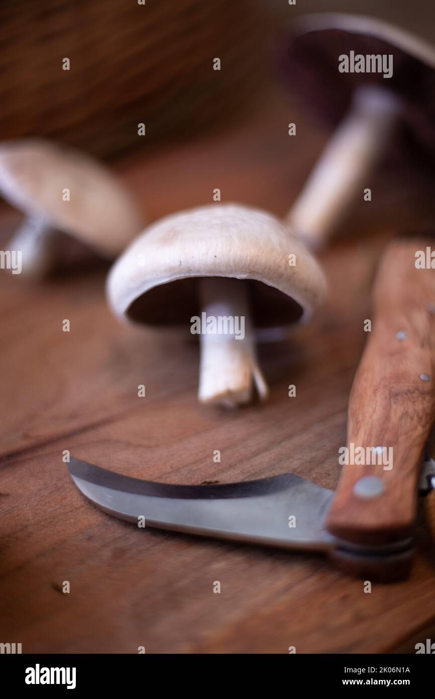 Field mushroom on a wooden board Stock Photo