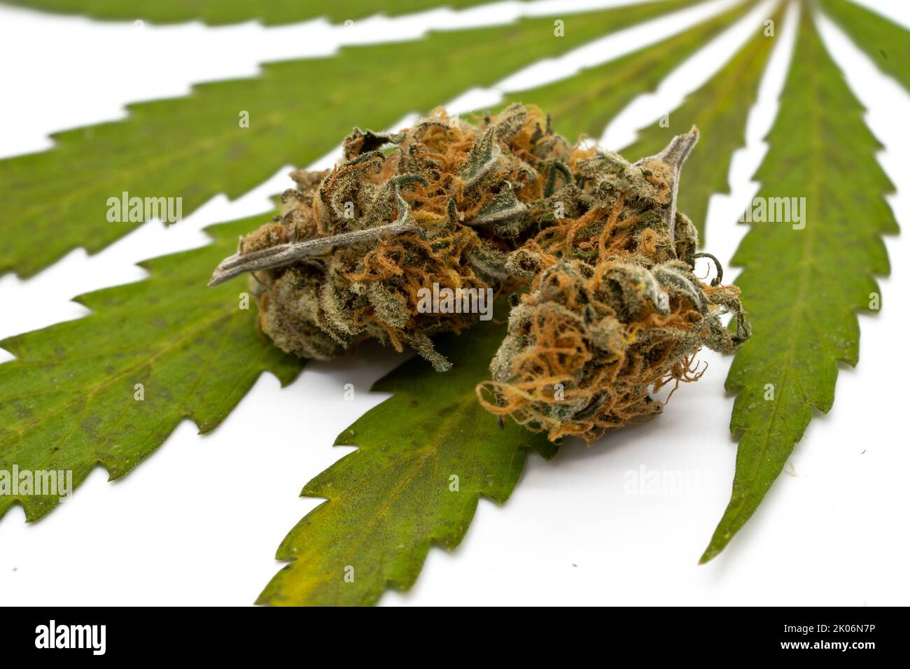 Cannabis leaf with dried flower Stock Photo