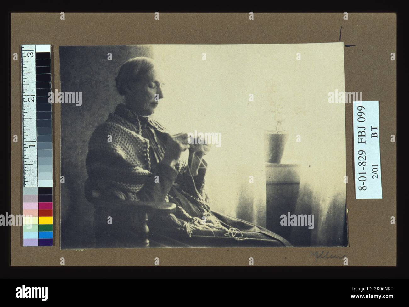 Portrait of the artists' mother, between 1890 and 1895. Photograph