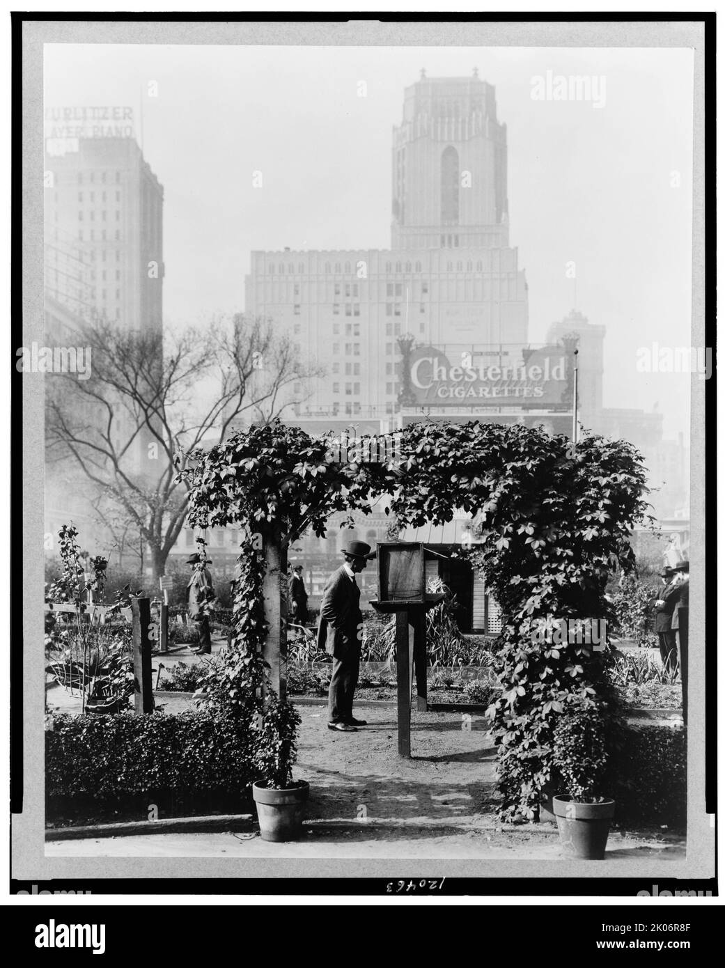 Demonstration garden, Bryant Park, 42nd Street and Fifth Avenue, New York, New York, 1918. People looking at plants in park, New York City. Stock Photo