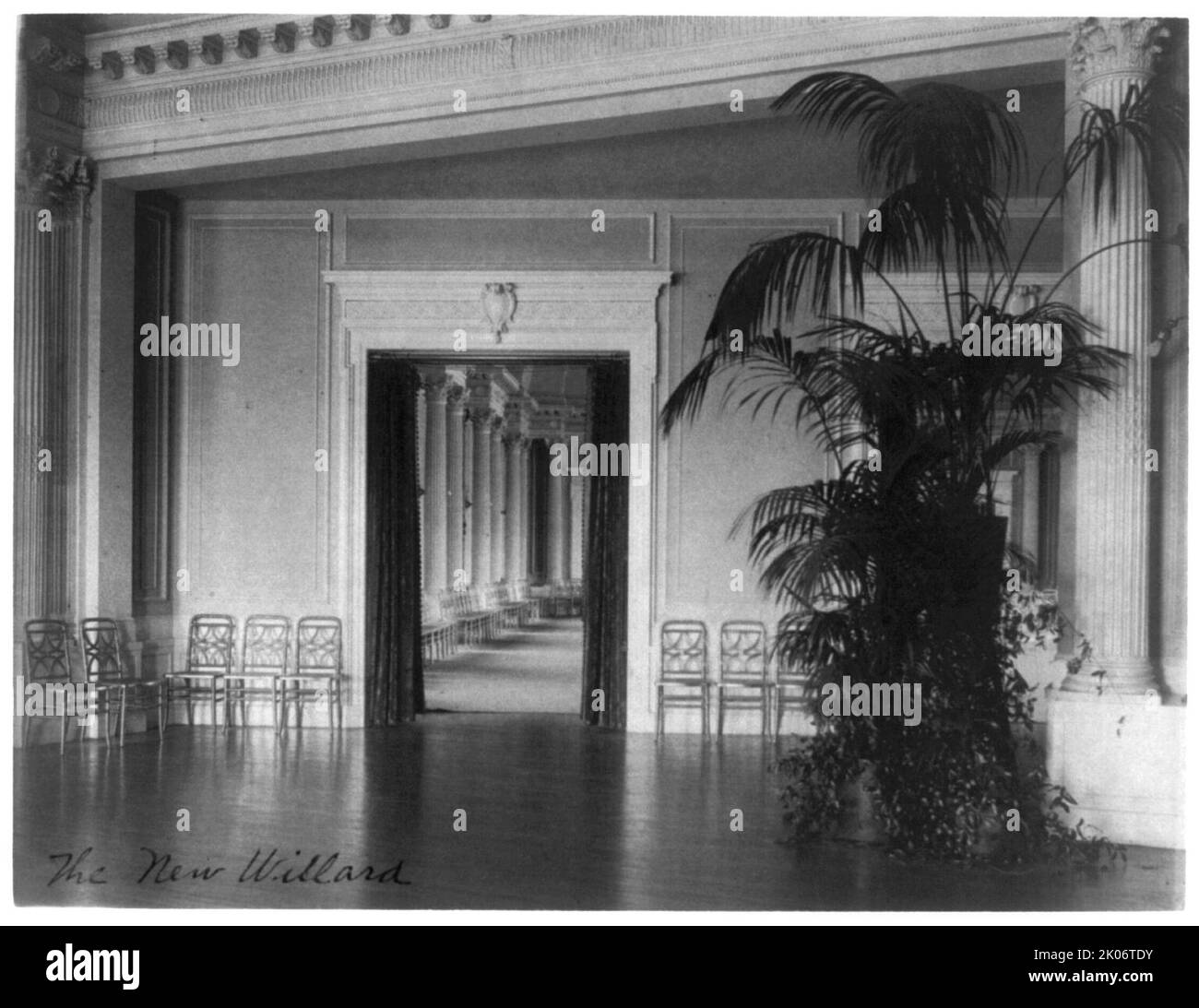 The new Willard, between 1890 and 1950. Willard Hotel ballroom interior showing large potted plant. Stock Photo