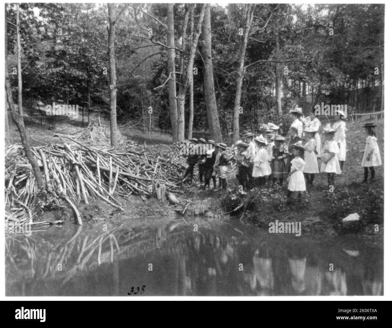 Group of public school children looking at beaver dam in the National Zoo(?), Washington, D.C., (1899?). Stock Photo