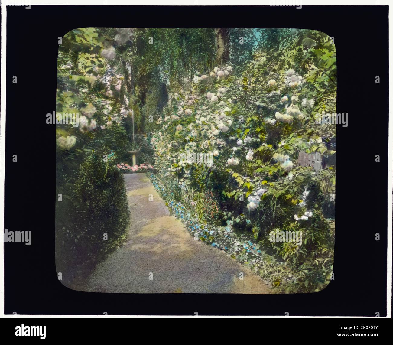 Joseph coleman hires stock photography and images Alamy