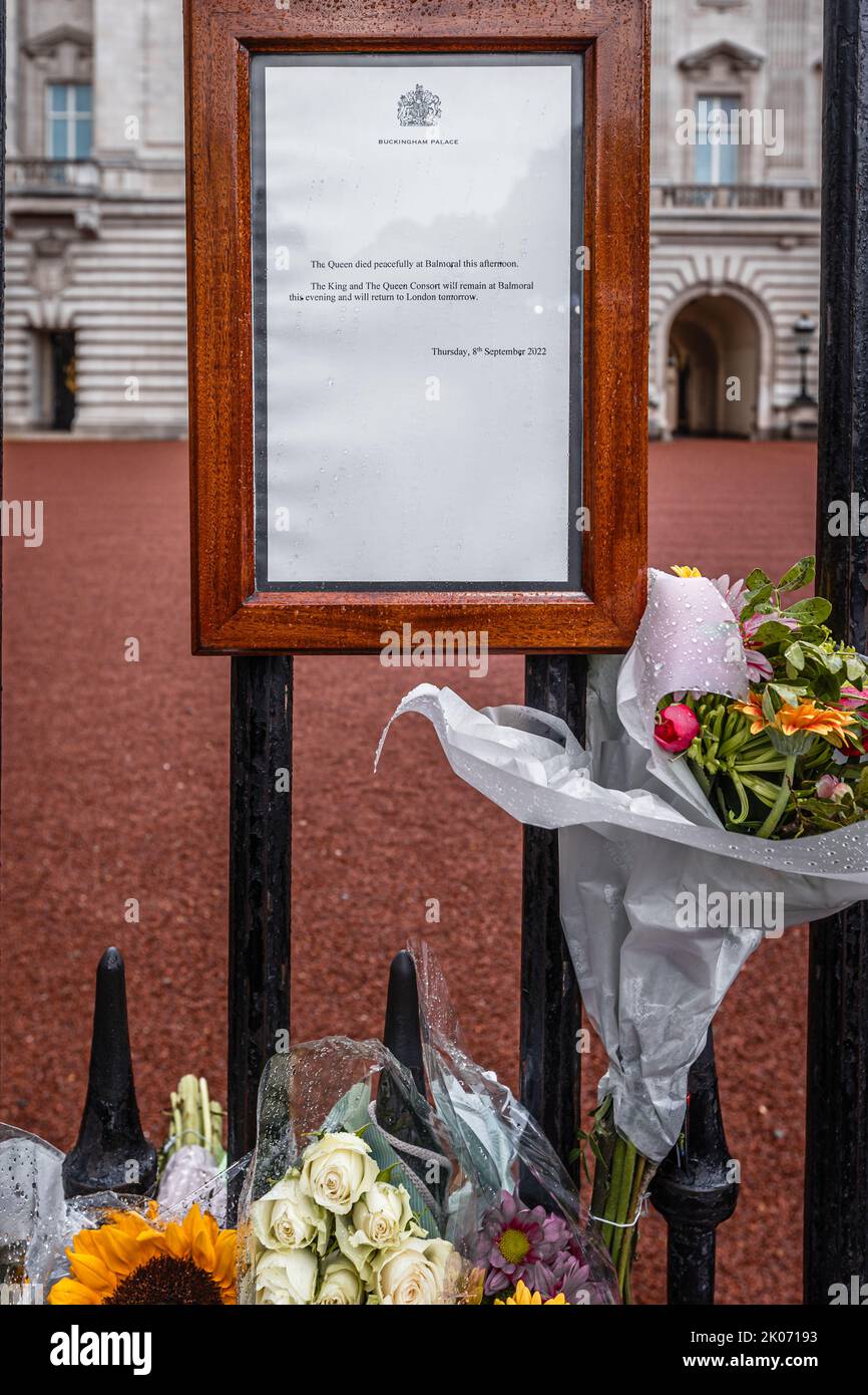 Buckingham palace official statement hires stock photography and