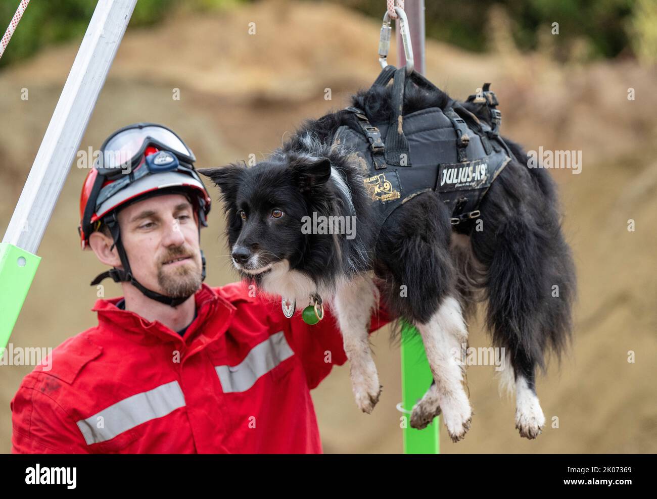 Dogs and their handlers hi-res stock photography and images - Page 16 -  Alamy