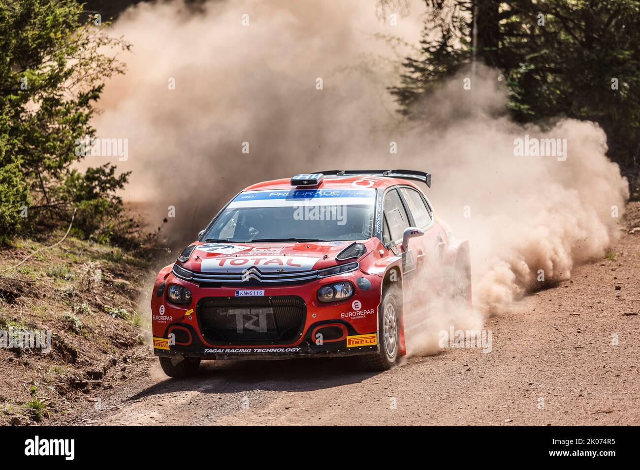 51 KARELLIS Chrysostomos (grc), MACHAIRAS Leonidas (grc), Citroen C3 ...