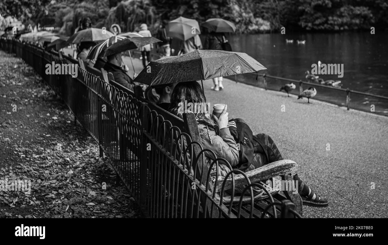 Umbrellas in St. James's Park in London. Stock Photo