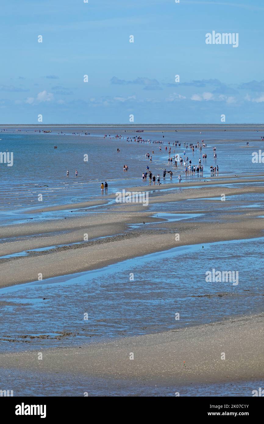 people on the intertidal mudflats, Büsum, Schleswig-Holstein, Germany Stock Photo