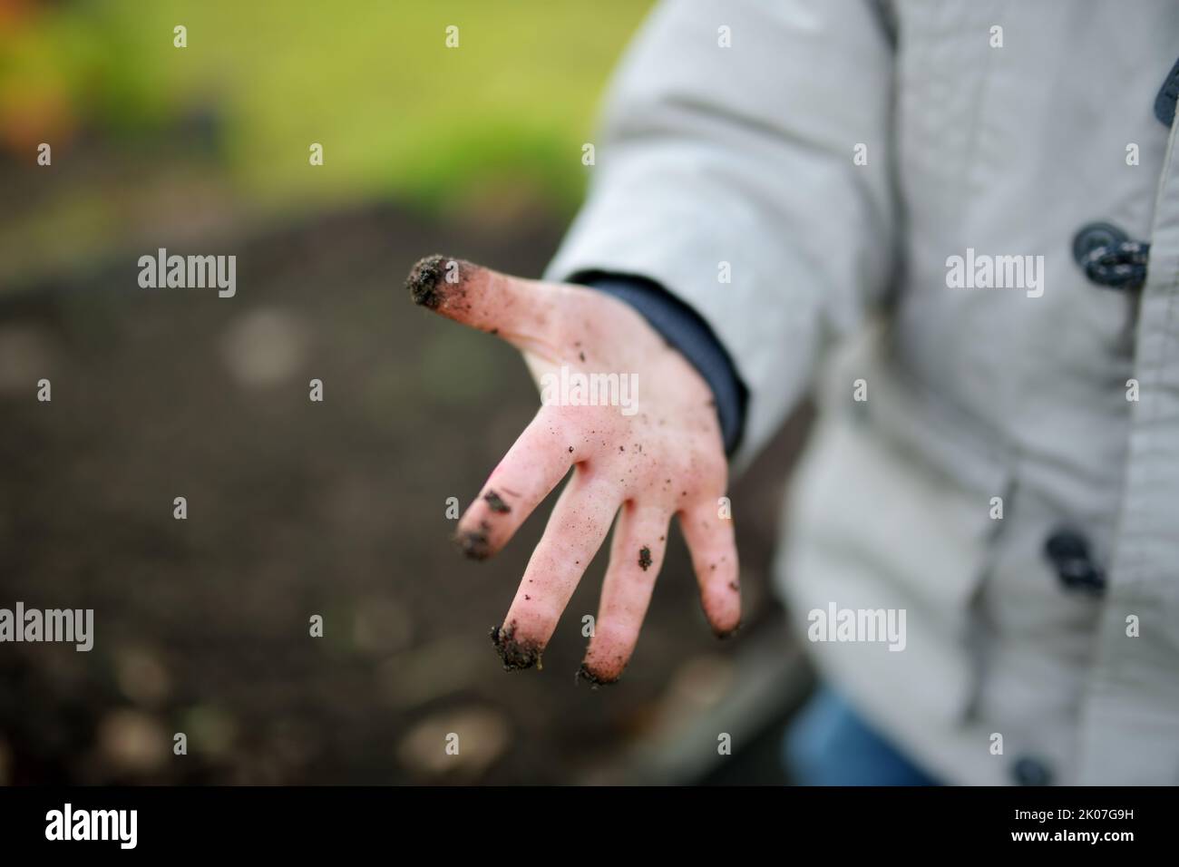 Funny toddler boy showing his dirty little hands. Child getting dirty while playing in the backyard. Messy games outdoors. Stock Photo