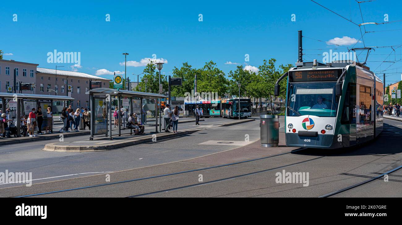 Tramway, stop at the main station, Potsdam, Brandenburg, Germany Stock Photo