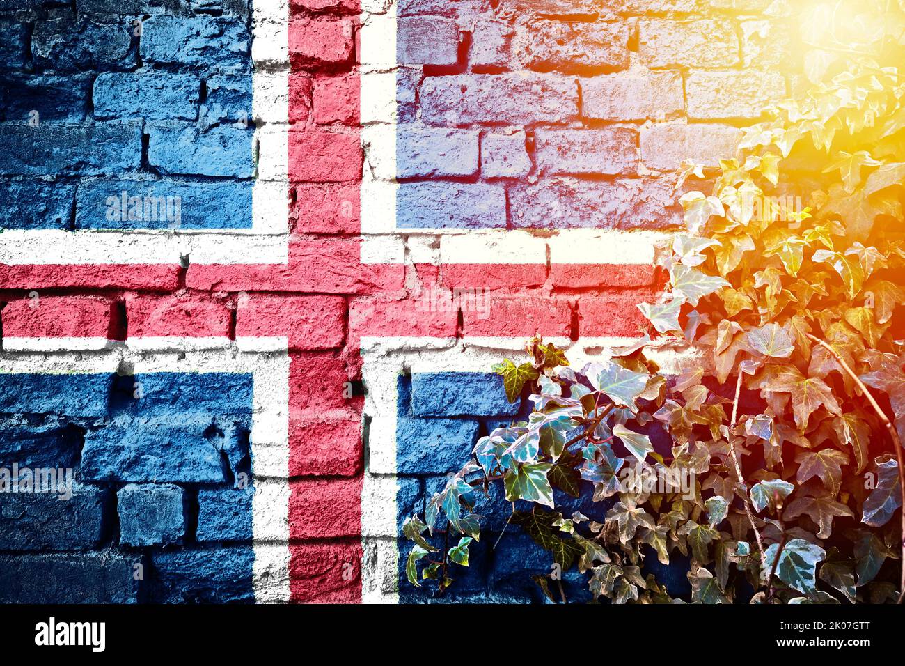 Iceland grunge flag on brick wall with ivy plant sun haze view, country symbol concept Stock Photo