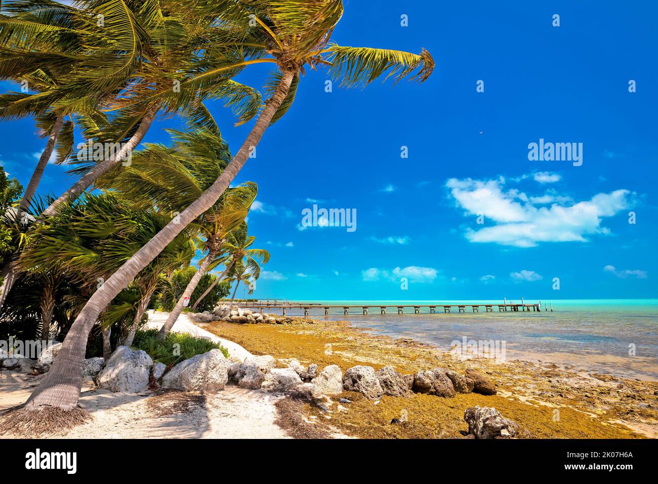 Idyllic palm beach in Islamorada on Florida Keys, Florida stare of USA Stock Photo