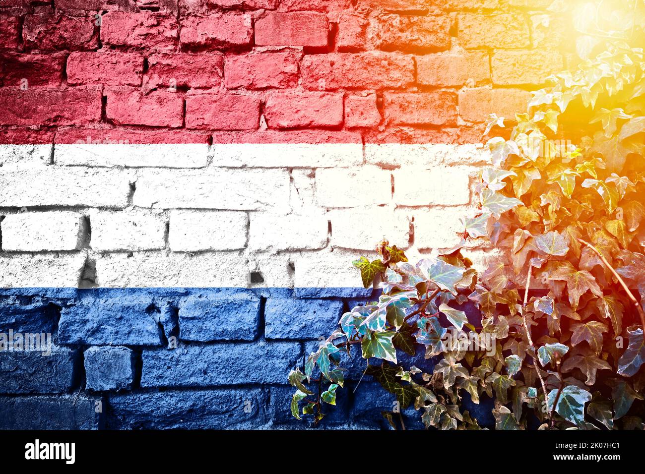 Netherland grunge flag on brick wall with ivy plant sun haze view, country symbol concept Stock Photo