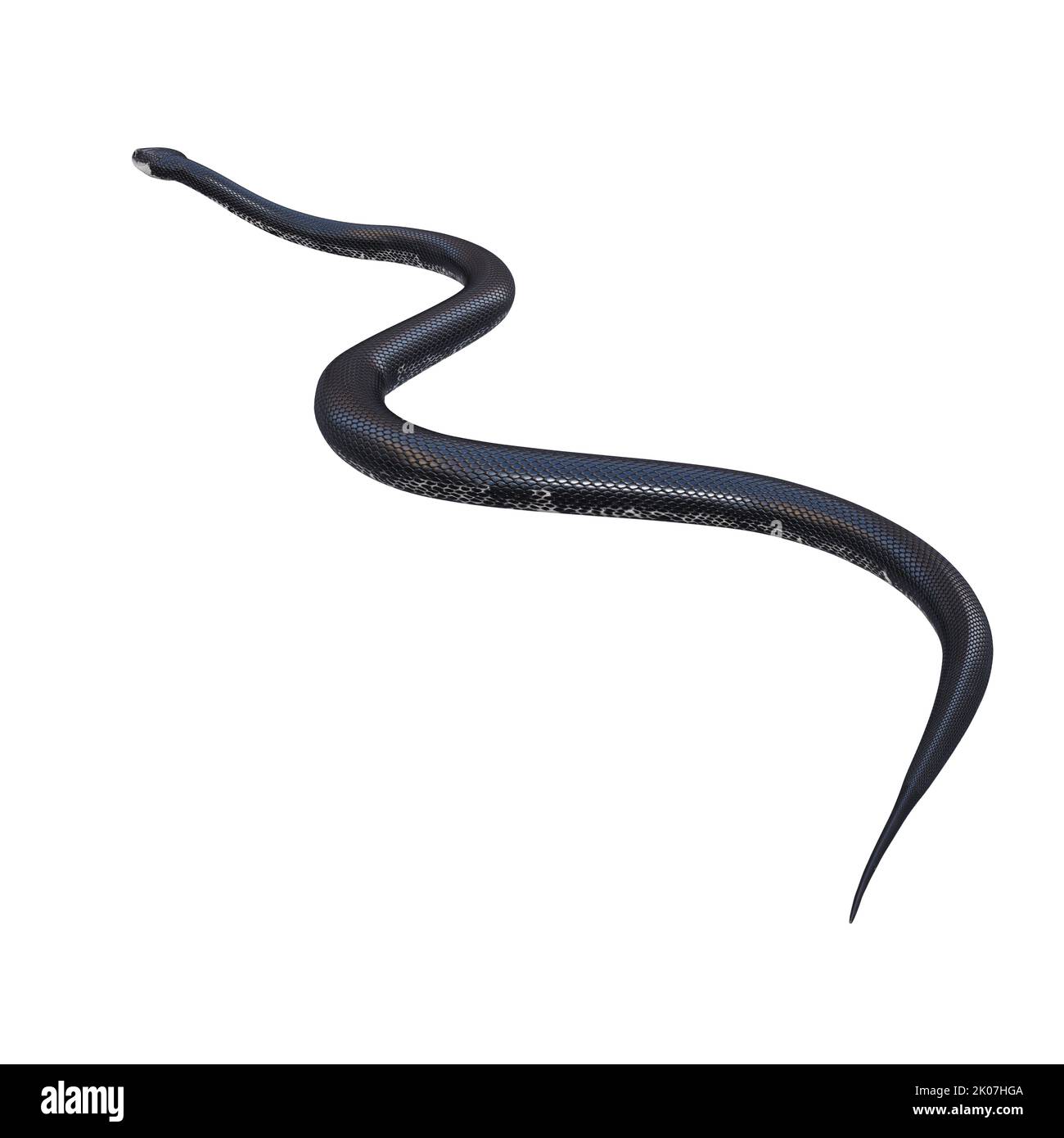 Black rat snake 3D illustration Stock Photo - Alamy