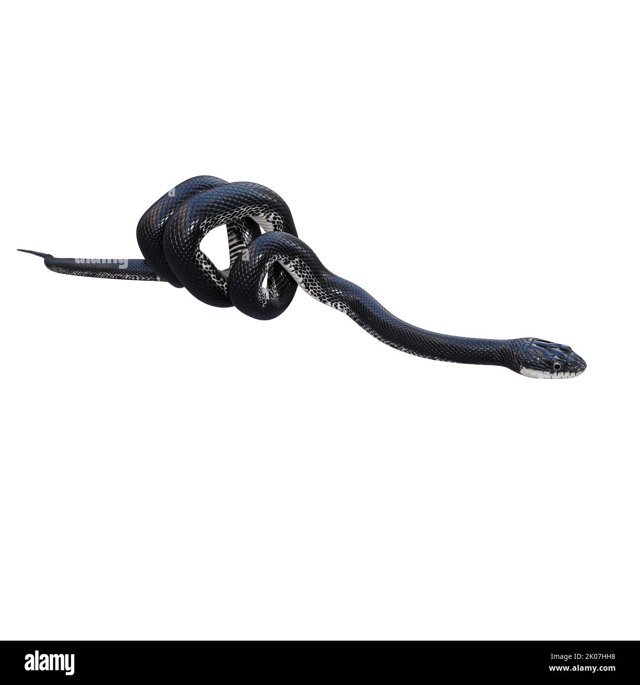 Black rat snake 3D illustration Stock Photo Alamy